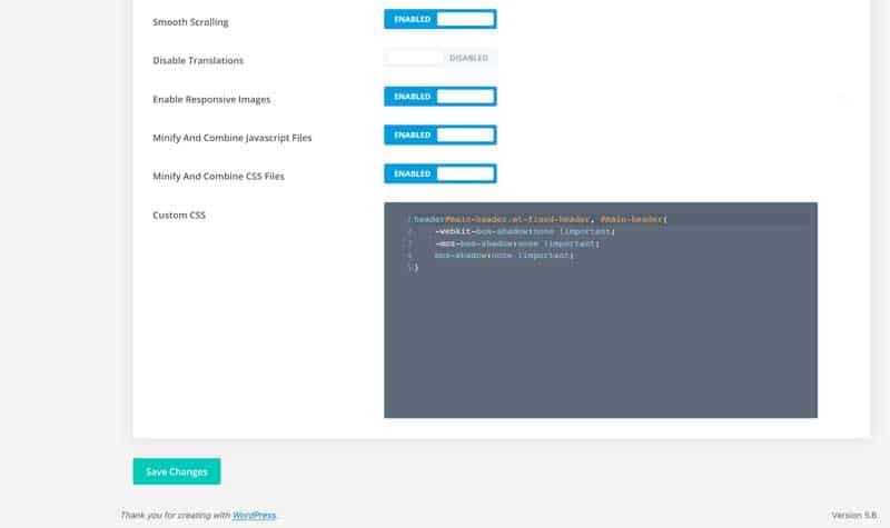Add CSS to Divi theme